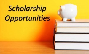 Scholarship
