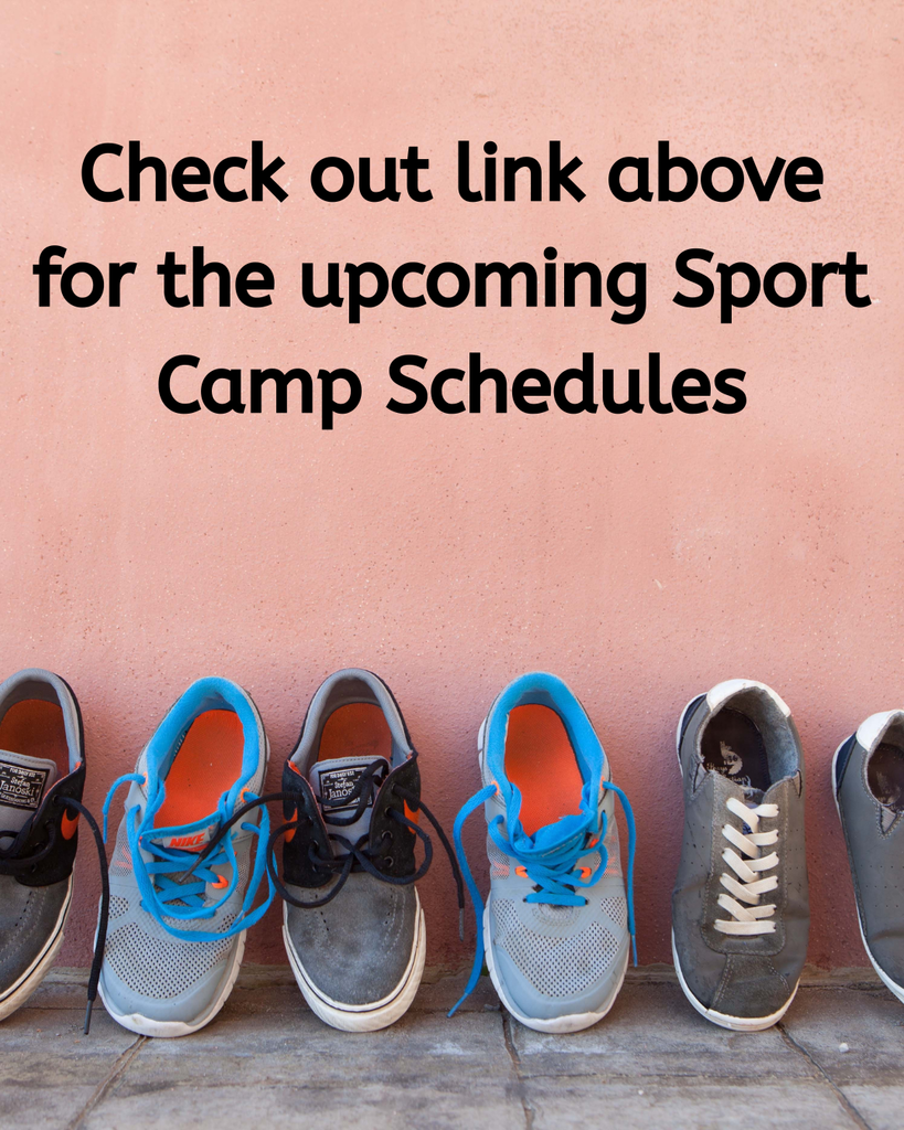 Use link above to view summer camp schedules