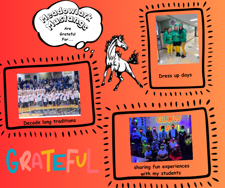 MDLK mustangs are grateful for..... see flyer for additional info