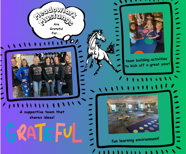 MDLK mustangs are grateful for..... see flyer for additional info