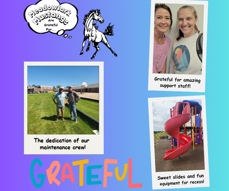 MDLK mustangs are grateful for..... see flyer for additional info