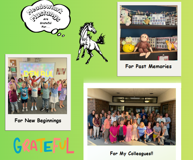 MDLK mustangs are grateful for..... see flyer for additional info