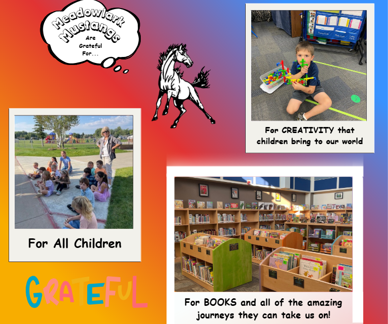 MDLK mustangs are grateful for..... see flyer for additional info