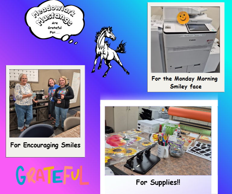 MDLK mustangs are grateful for..... see flyer for additional info