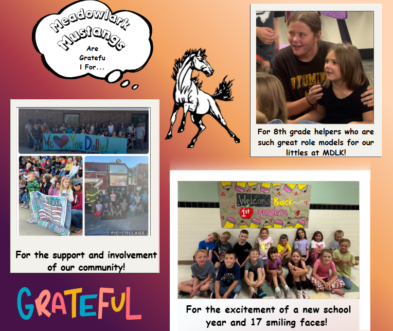 MDLK mustangs are grateful for..... see flyer for additional info