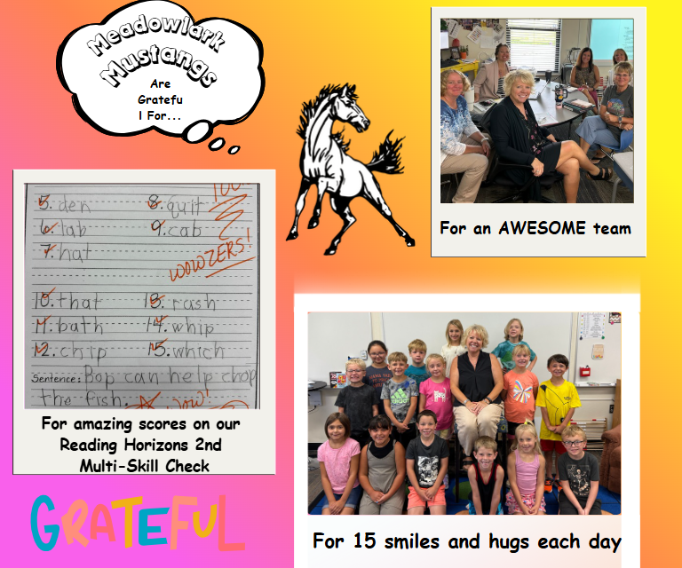 MDLK mustangs are grateful for..... see flyer for additional info