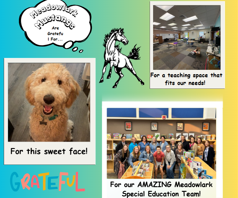 MDLK mustangs are grateful for..... see flyer for additional info