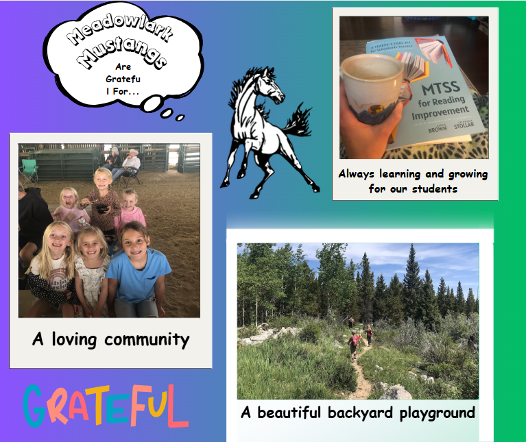 MDLK mustangs are grateful for..... see flyer for additional info