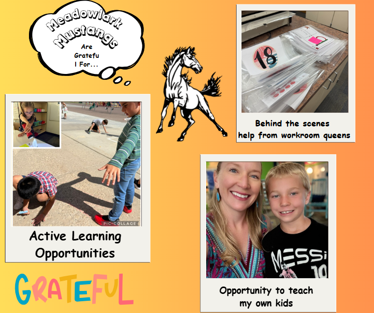 MDLK mustangs are grateful for..... see flyer for additional info