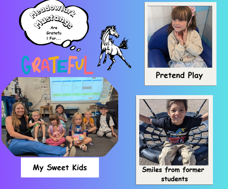MDLK mustangs are grateful for..... see flyer for additional info