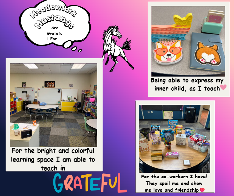 MDLK mustangs are grateful for..... see flyer for additional info