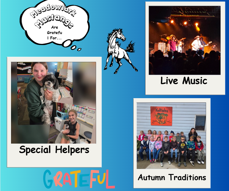 MDLK mustangs are grateful for..... see flyer for additional info