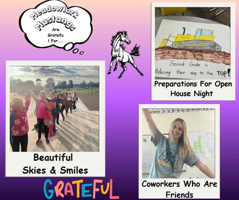 MDLK mustangs are grateful for..... see flyer for additional info