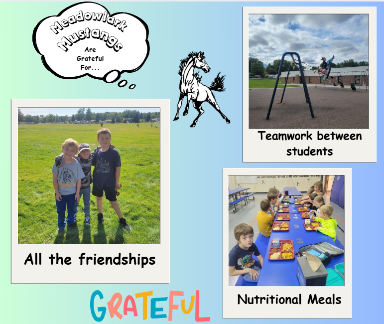 MDLK mustangs are grateful for..... see flyer for additional info
