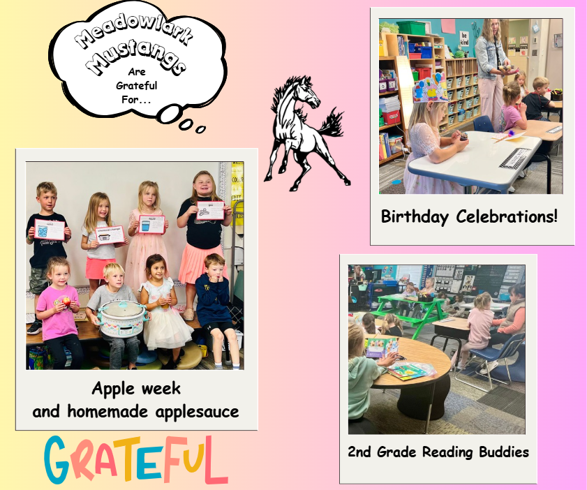 MDLK mustangs are grateful for..... see flyer for additional info