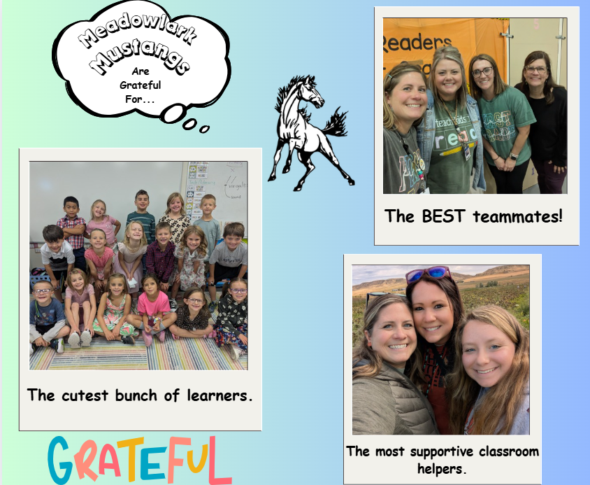 MDLK mustangs are grateful for..... see flyer for additional info