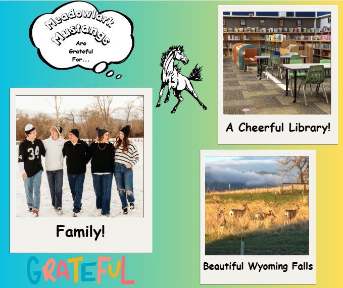 MDLK mustangs are grateful for..... see flyer for additional info