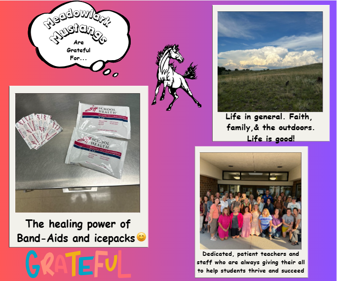 MDLK mustangs are grateful for..... see flyer for additional info