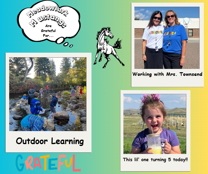 MDLK mustangs are grateful for..... see flyer for additional info