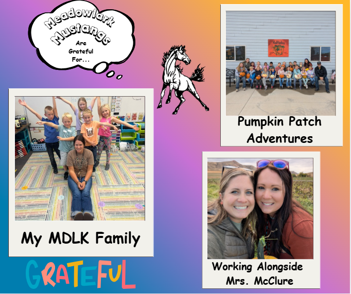 MDLK mustangs are grateful for..... see flyer for additional info