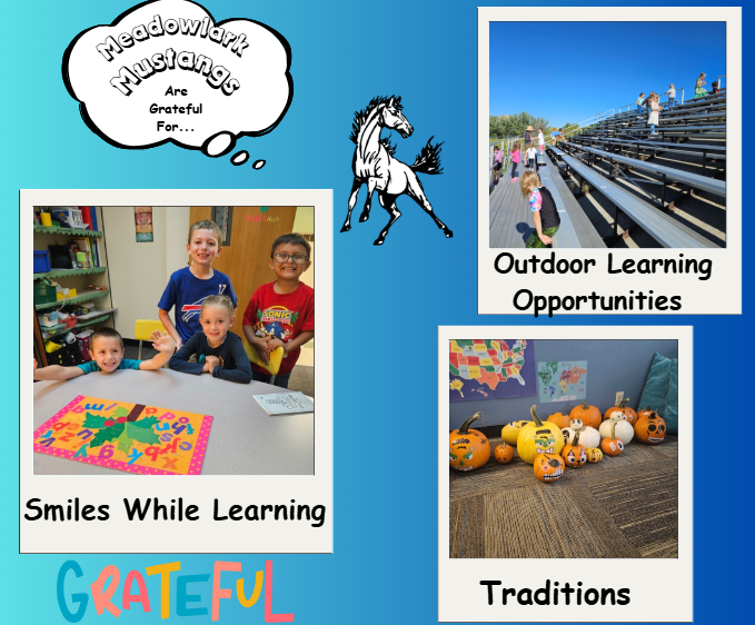 MDLK mustangs are grateful for..... see flyer for additional info