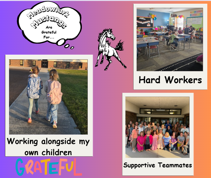 MDLK mustangs are grateful for..... see flyer for additional info