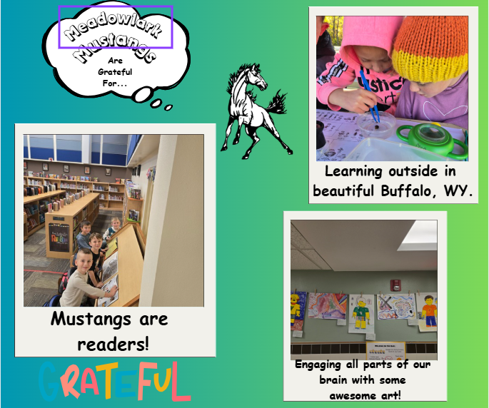 MDLK mustangs are grateful for..... see flyer for additional info