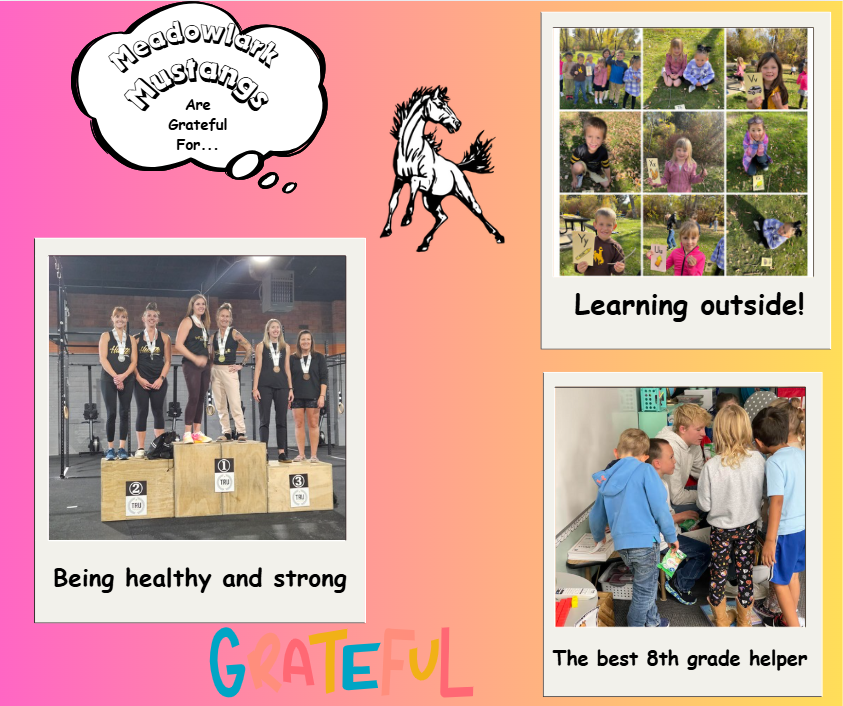 MDLK mustangs are grateful for..... see flyer for additional info