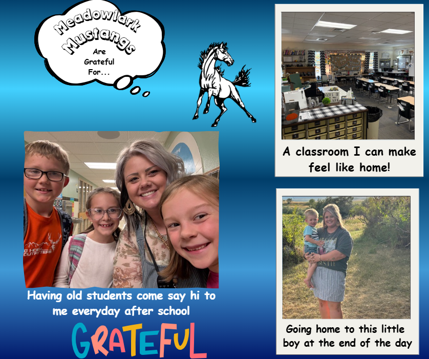 MDLK mustangs are grateful for..... see flyer for additional info