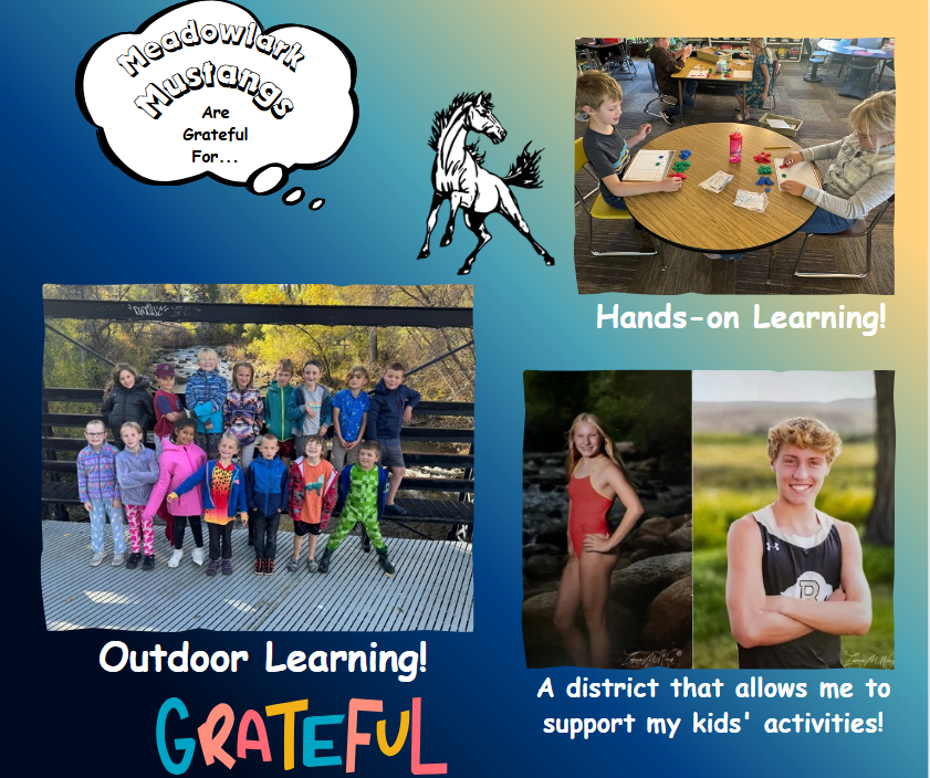 MDLK mustangs are grateful for..... see flyer for additional info