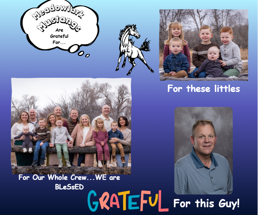 MDLK mustangs are grateful for..... see flyer for additional info