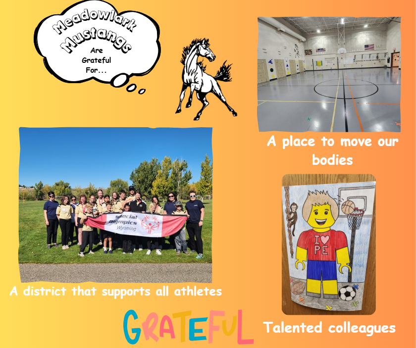 MDLK mustangs are grateful for..... see flyer for additional info