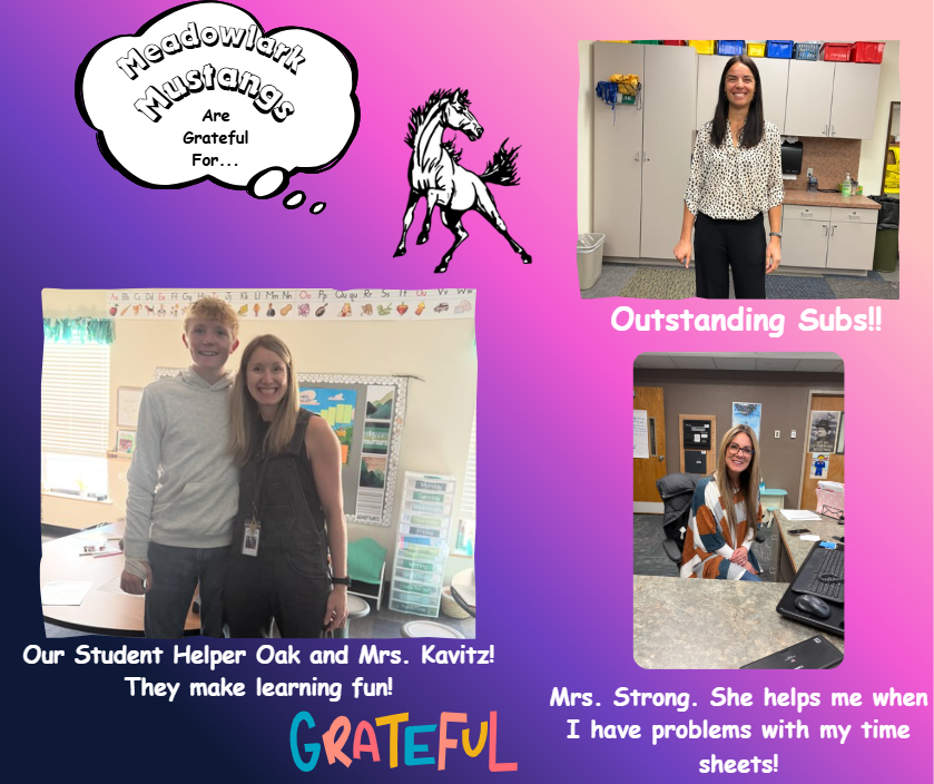 MDLK mustangs are grateful for..... see flyer for additional info