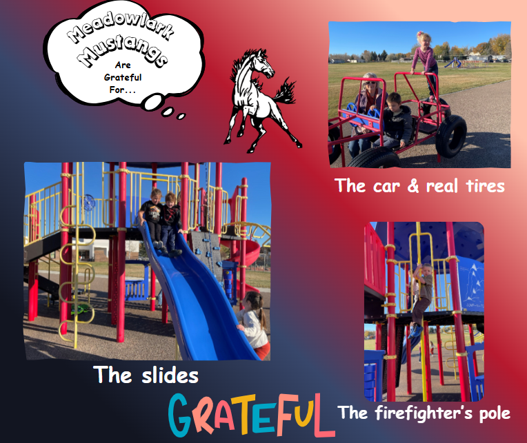 MDLK mustangs are grateful for..... see flyer for additional info