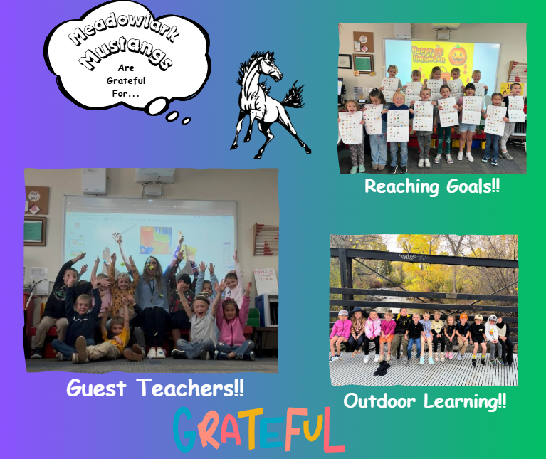 MDLK mustangs are grateful for..... see flyer for additional info