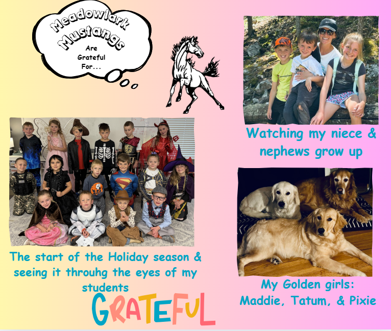 MDLK mustangs are grateful for..... see flyer for additional info