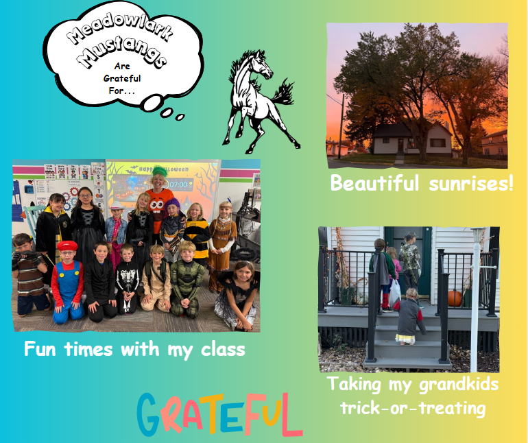 MDLK mustangs are grateful for..... see flyer for additional info