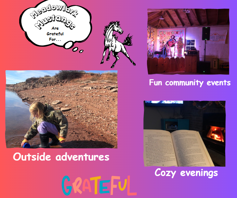 MDLK mustangs are grateful for..... see flyer for additional info