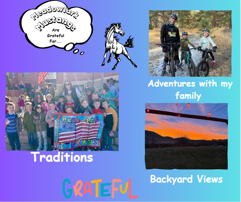 MDLK mustangs are grateful for..... see flyer for additional info