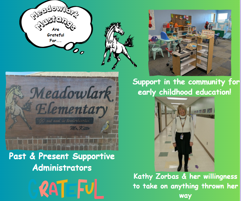 MDLK mustangs are grateful for..... see flyer for additional info