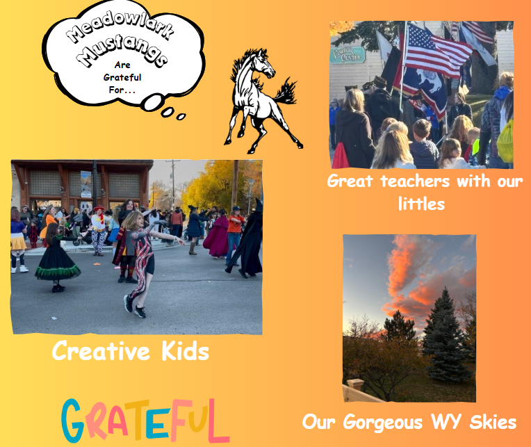 MDLK mustangs are grateful for..... see flyer for additional info