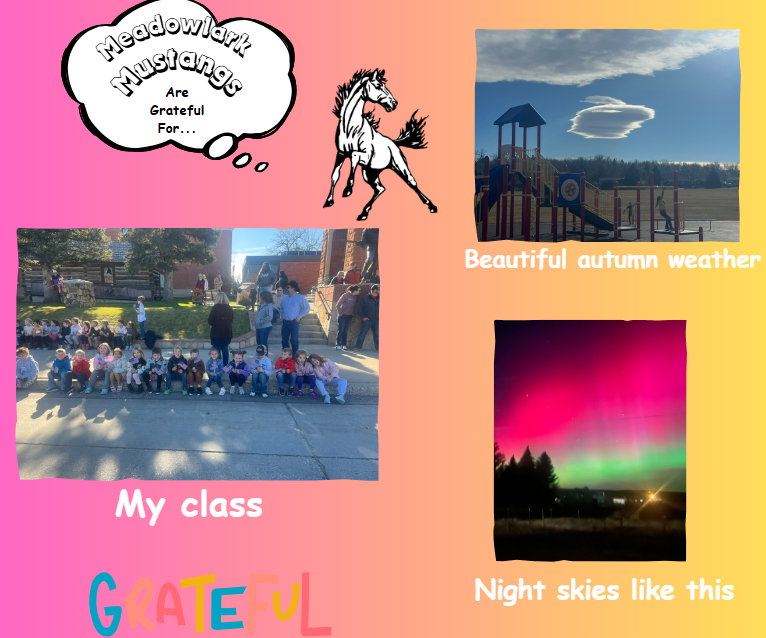 MDLK mustangs are grateful for..... see flyer for additional info