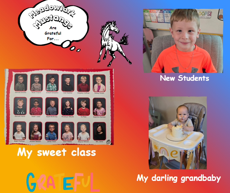 MDLK mustangs are grateful for..... see flyer for additional info