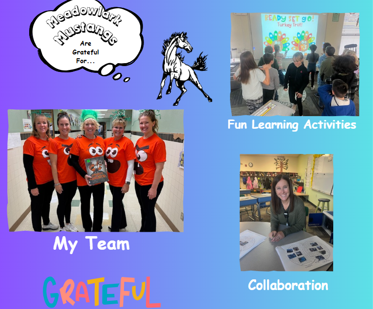 MDLK mustangs are grateful for..... see flyer for additional info