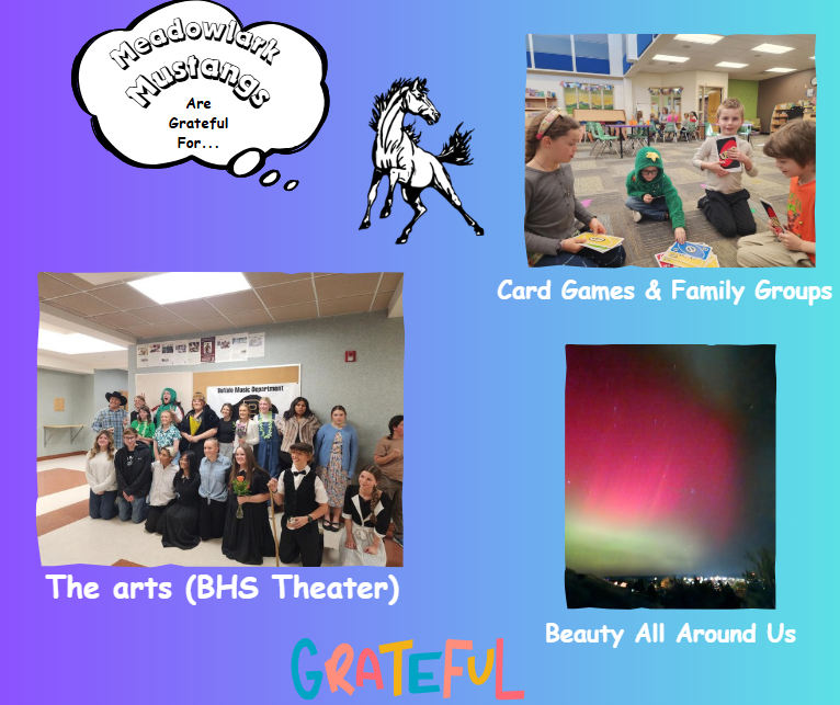 MDLK mustangs are grateful for..... see flyer for additional info