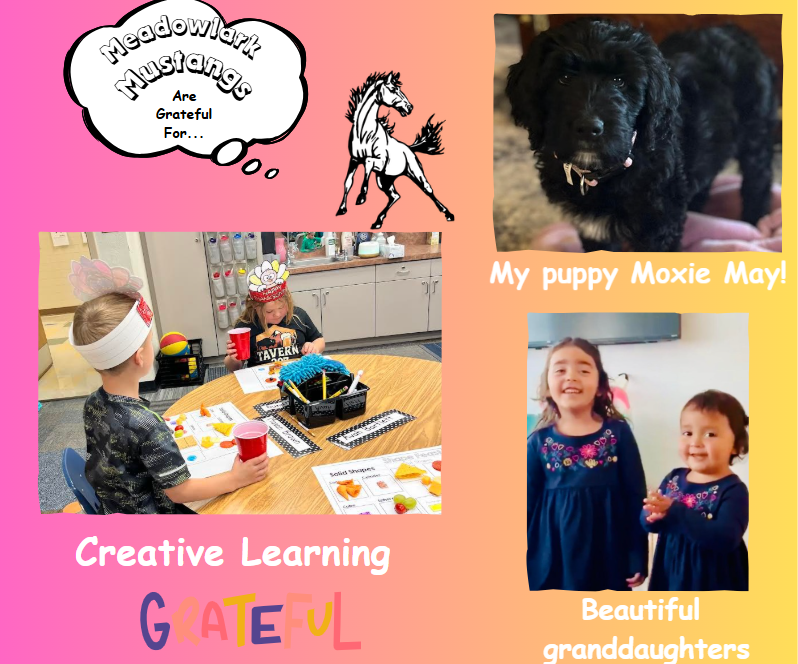 MDLK mustangs are grateful for..... see flyer for additional info