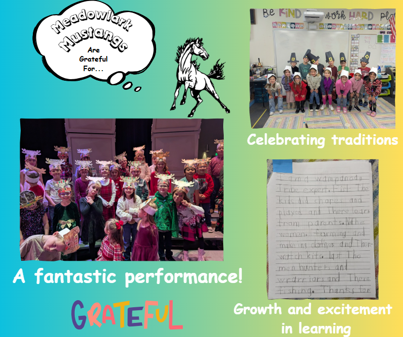 MDLK mustangs are grateful for..... see flyer for additional info