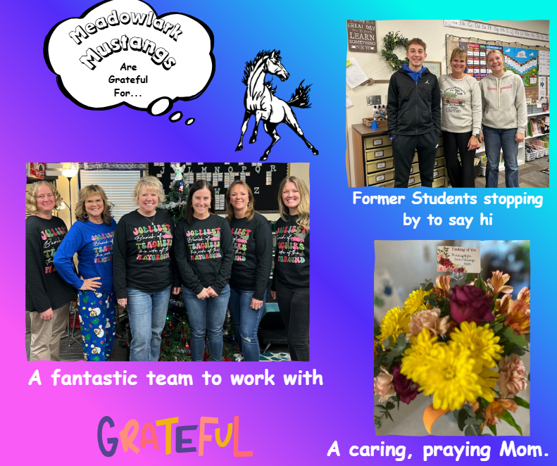 MDLK mustangs are grateful for..... see flyer for additional info