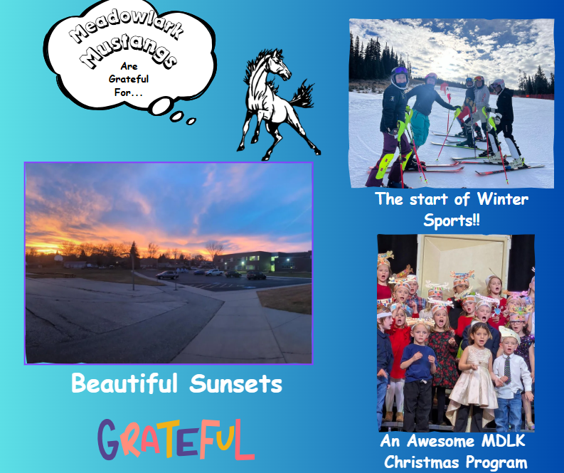 MDLK mustangs are grateful for..... see flyer for additional info