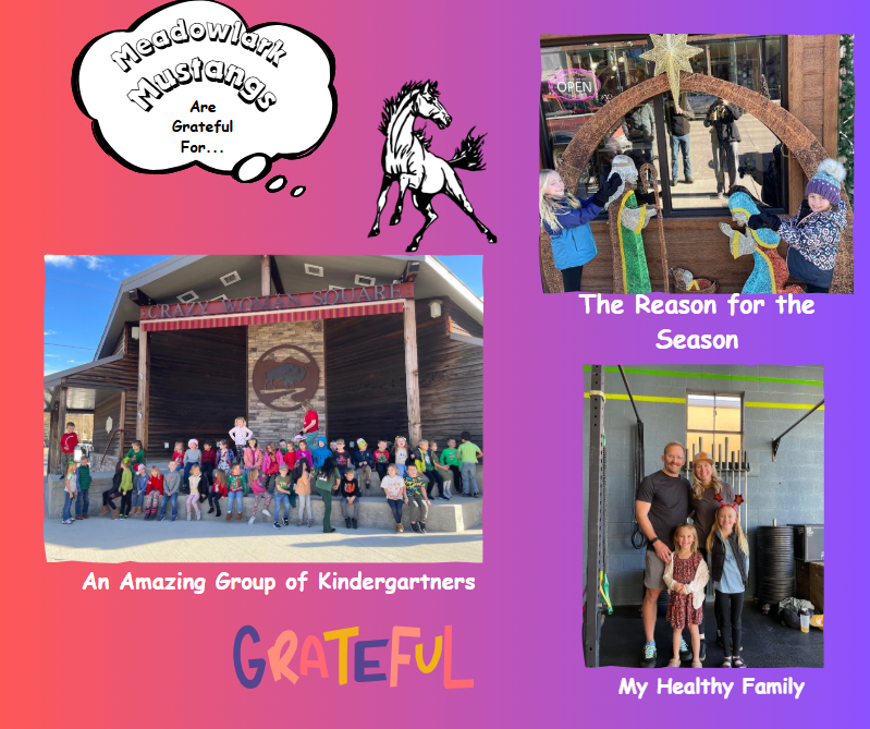 MDLK mustangs are grateful for..... see flyer for additional info